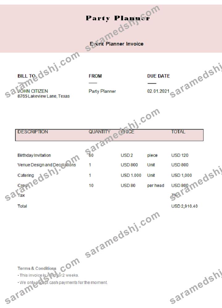 USA Party Planner invoice